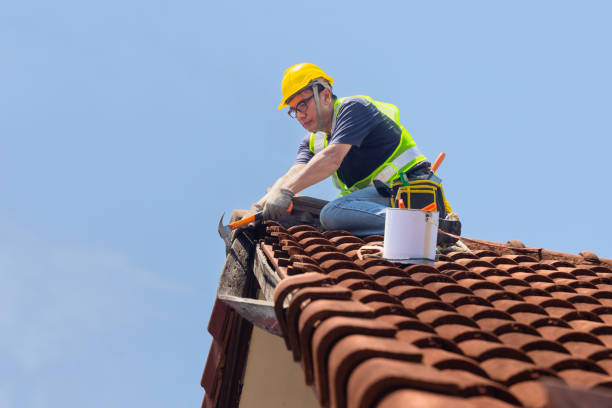 Steel Roofing in North Springfield, VA